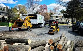 How Our Tree Care Process Works  in  Barnsdall, OK